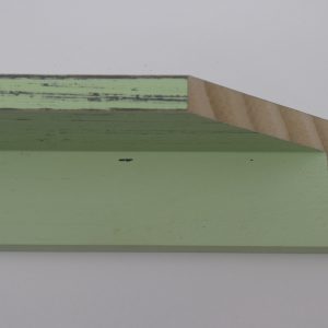 PG-B981