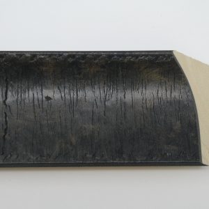 PG8189