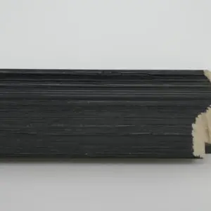 PG-R411
