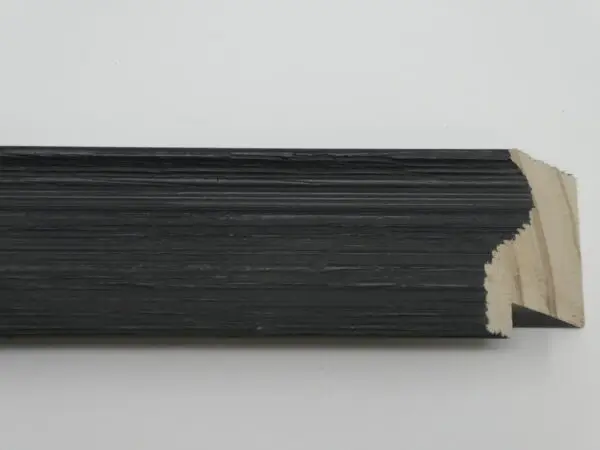 PG-R411